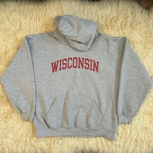 Gray University of Wisconsin Hoodie